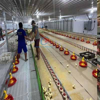 Σύγχρονη Q235 Q345 Σιδηροδρομική δομή Σπίτι πουλερικών για αποδοτική γεωργία