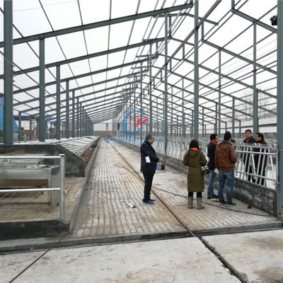 Ελαφριά δομή από χάλυβα Στέγαση αγελάδας Προσυσκευασμένο χάλυβα κτίρια γεωργικών εκμεταλλεύσεων