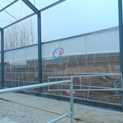 Χάλυβα Χάλυβα Κατασκευή χάλυβα χάλυβα, Prefab χάλυβα χάλυβα για γαλακτοκομείο