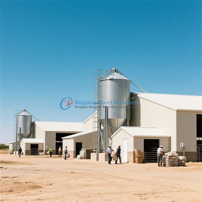 Προσυσκευασμένη δομή από χάλυβα Σπίτι πουλερικών Προσαρμοσμένο χάλυβα πλαίσιο Κοτέτσι κοτόπουλου